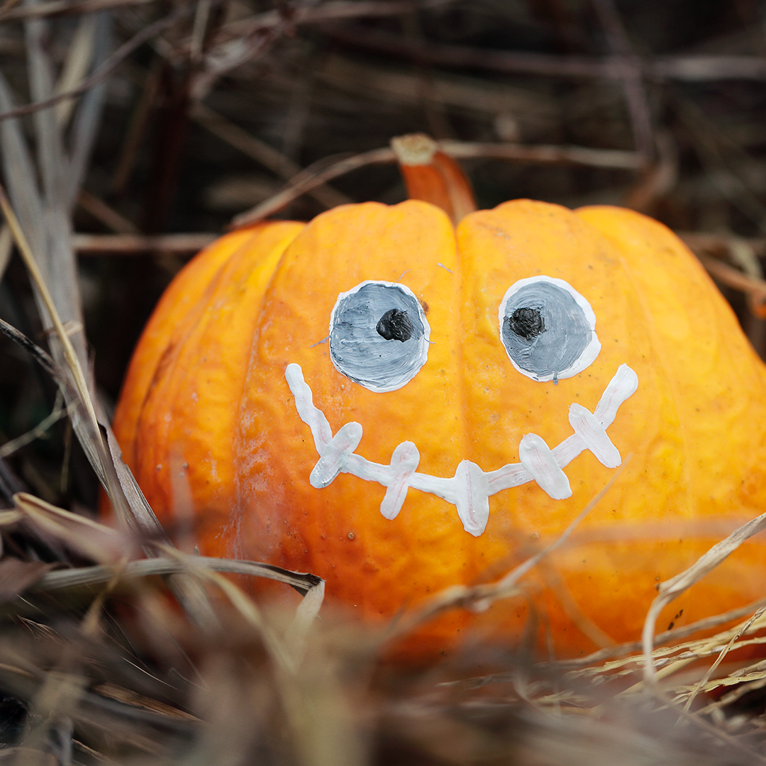 Paint a Pumpkin Craft