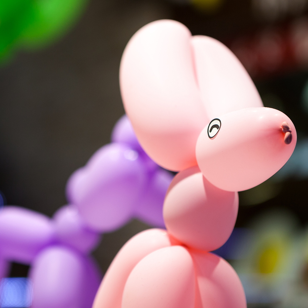 balloon-modelling-craft