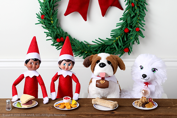 Exciting Activities You Can Do With Your Elf Pets The Elf On The Shelf