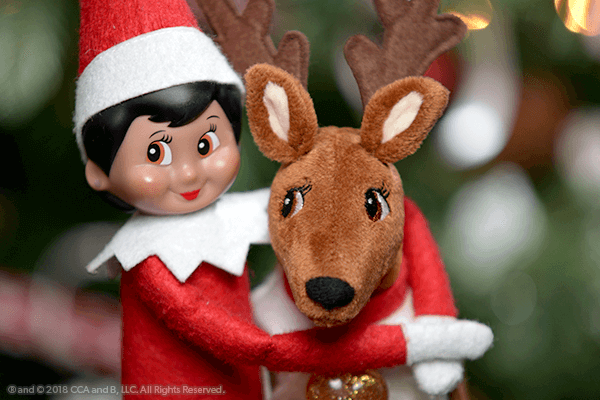 Exciting Activities with Elf Pets®