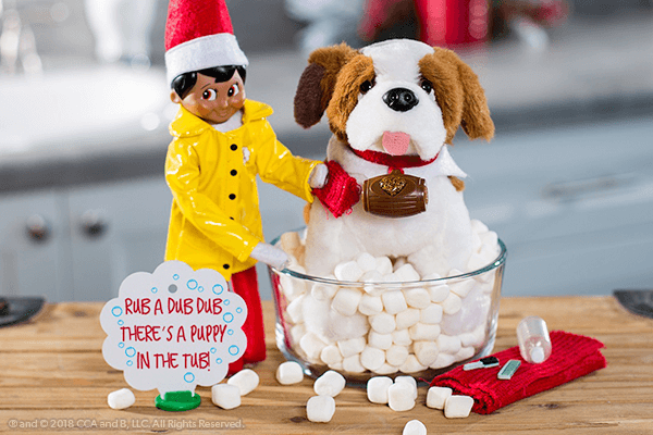 Exciting Activities with Elf Pets®