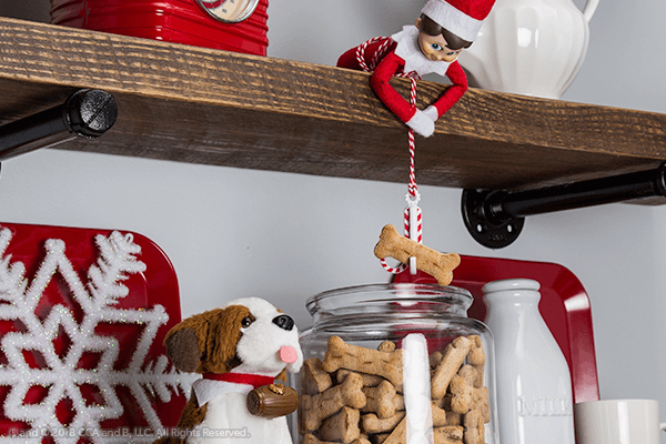 Exciting Activities with Elf Pets®