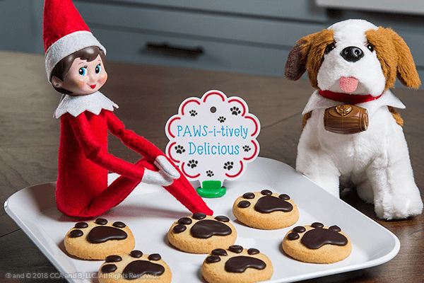 Exciting Activities with Elf Pets®