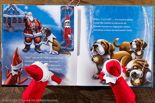 Exciting Activities with Elf Pets®