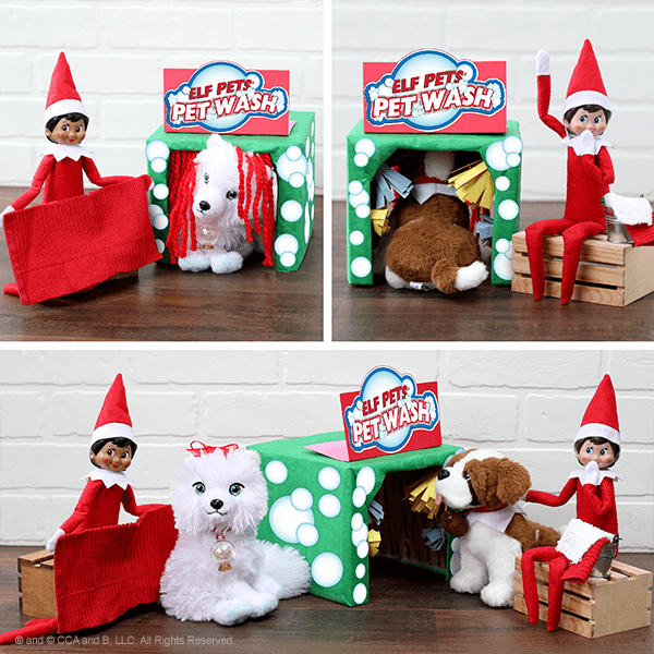 Exciting Activities You Can Do With Your Elf Pets The Elf On The Shelf