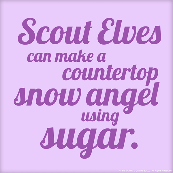 Top Tips for Scout Elves 