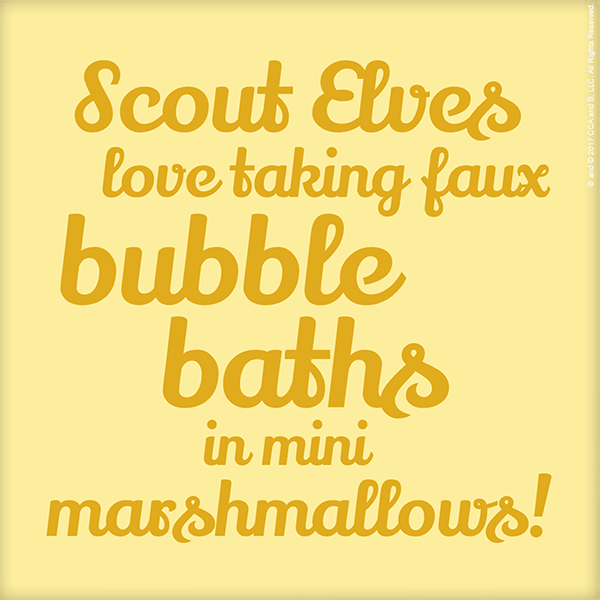 Top Tips for Scout Elves 
