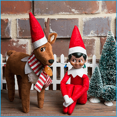 Cute Ideas for Scout Elves and Elf Pets® Reindeer | The Elf on the Shelf