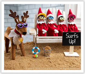 Elf Pets Reindeer and Scout Elves wearing sunglasses on the beach