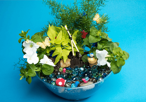 Magnificent Mini Gardens - The Elf on the Shelf 