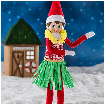 Best Elf on the Shelf Ideas - The Elf on the Shelf