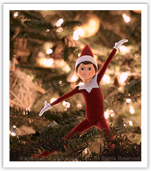 What Do Scout Elves Do at Night? - The Elf on the Shelf