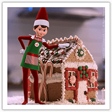 What Do Scout Elves Do at Night? - The Elf on the Shelf