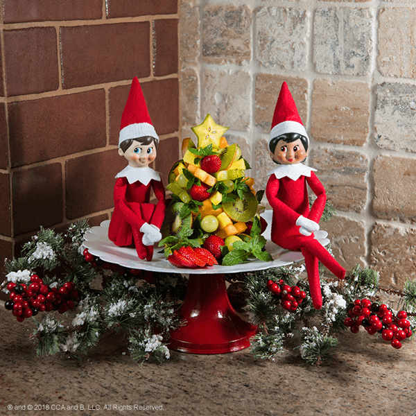 The Top Elf on the Shelf Ideas of All Time