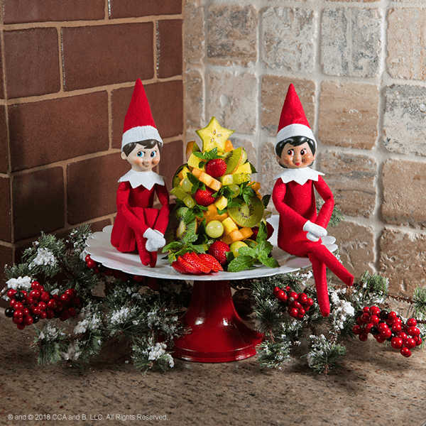 Elf on the Shelf Ideas For 2 Elves