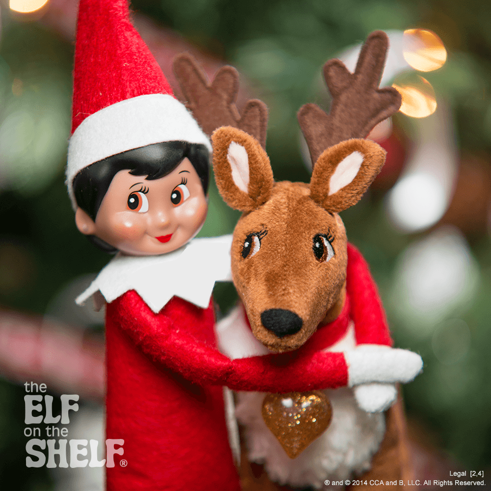 An Elf's Best Friend | The Elf on the Shelf