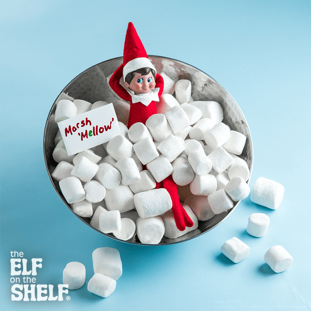 Marsh-“mellow!” | The Elf on the Shelf