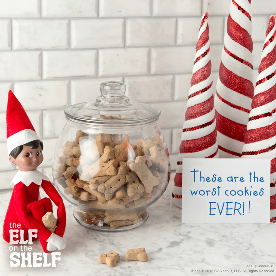 All Treats Are Not Created Equal | The Elf on the Shelf