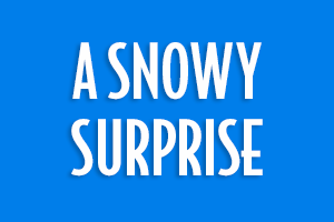 A Snowy Surprise