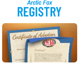 Elf Pets Arctic Fox Registry