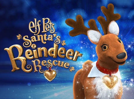 Reindeer Animated Special