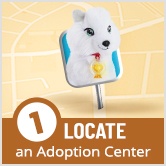 Step 1: Locate an Adoption Center