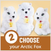 Step 2: Choose your Arctic Fox