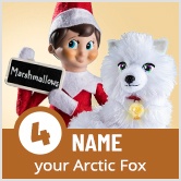Step 4: Name your Arctic Fo