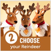 Step 2: Choose Your Reindeer
