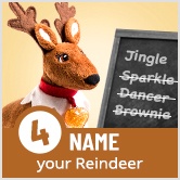 Step 4: Name Your Reindeer