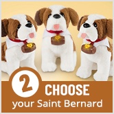 Step 2: Choose Your Saint Bernard
