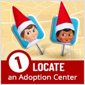Step 1: Locate an Adoption Center