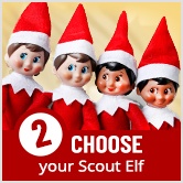Step 2: Choose your Scout Elf