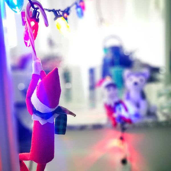 Elf swings on Christmas lights idea
