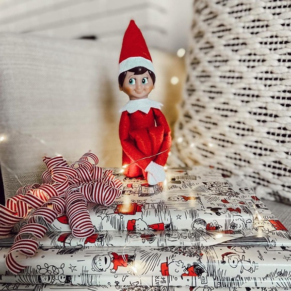 Elf Christmas present idea