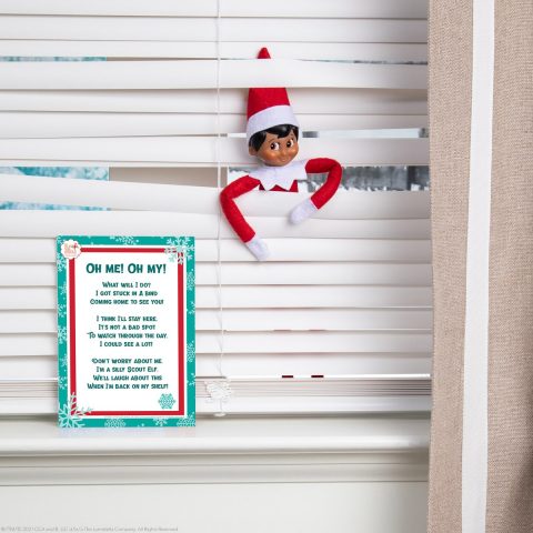 Stuck in a Bind | The Elf on the Shelf