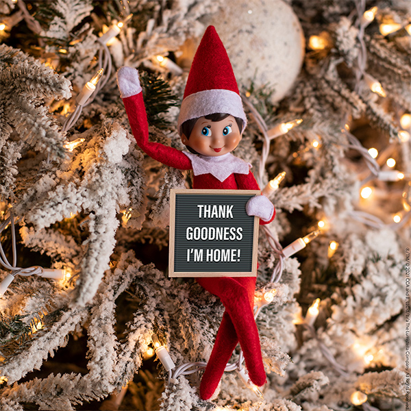 Elf sitting in Christmas tree with mini 'welcome home' letter board 