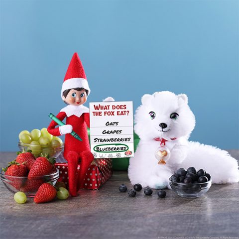 Elf with Arctic Fox, fruits, and printable menu card