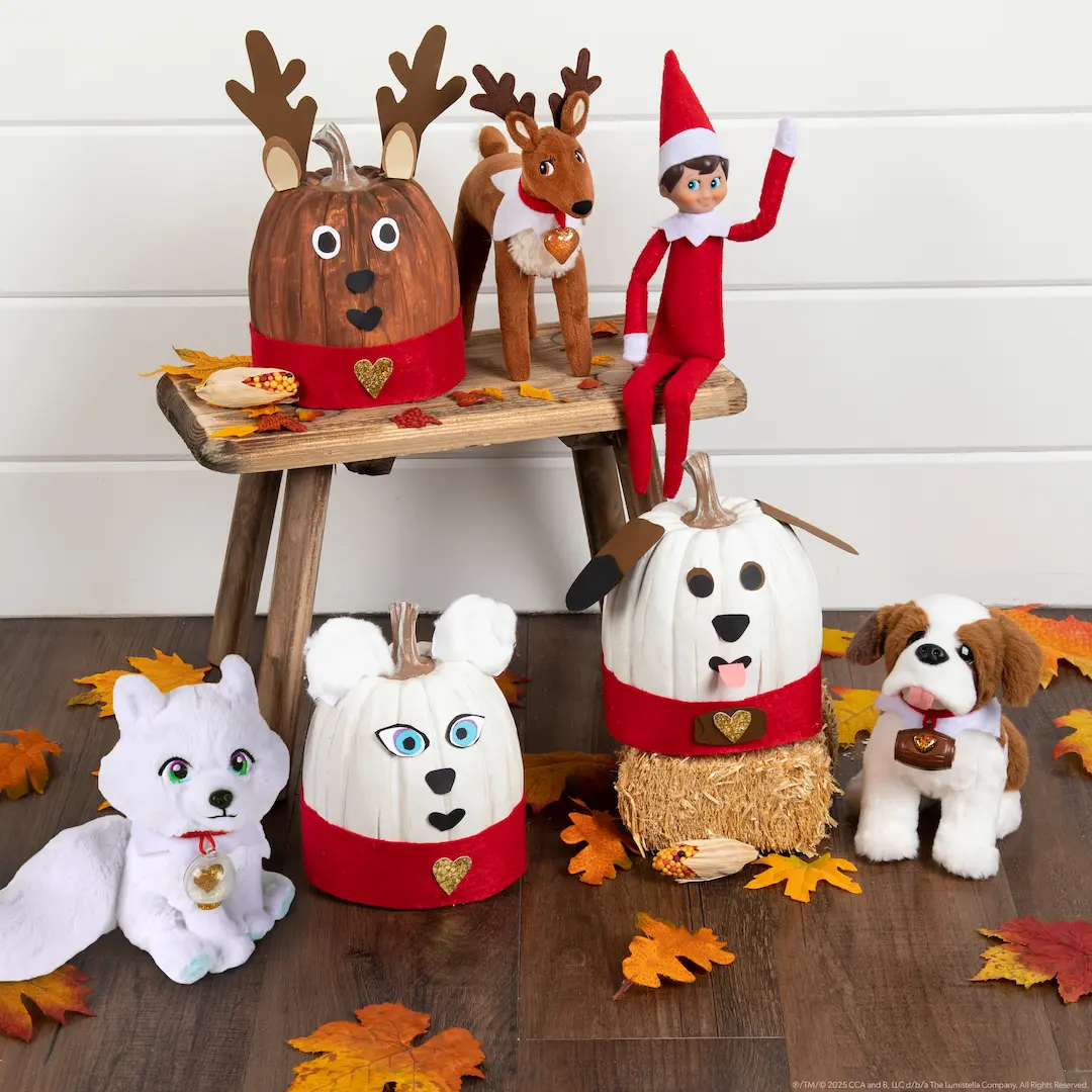 The three Elf Pets sit beside pumpkins that are decorated to resemble them.