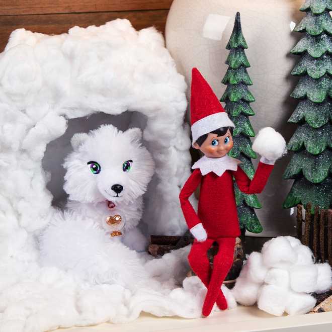 ‘My Pets And Me’ Elf Ideas The Elf on the Shelf