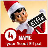 Name your Scout Elf pal