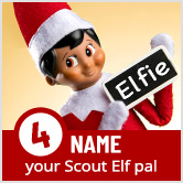 The Elf on the Shelf®: A Christmas Tradition | The Elf on the Shelf