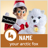 Name your arctic fox