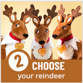 Choose your reindeer