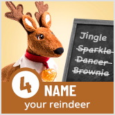 Name your reindeer