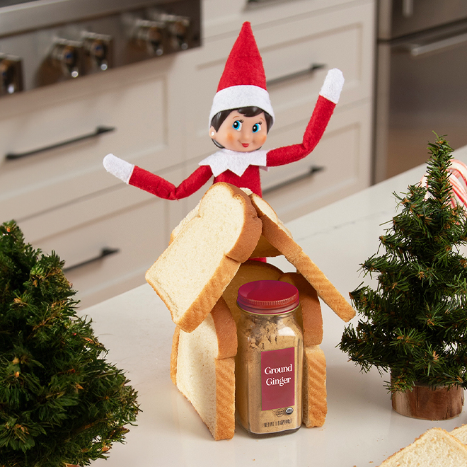 Easy Ideas For Elves Who Have 5 Minutes or Less! | The Elf on the Shelf