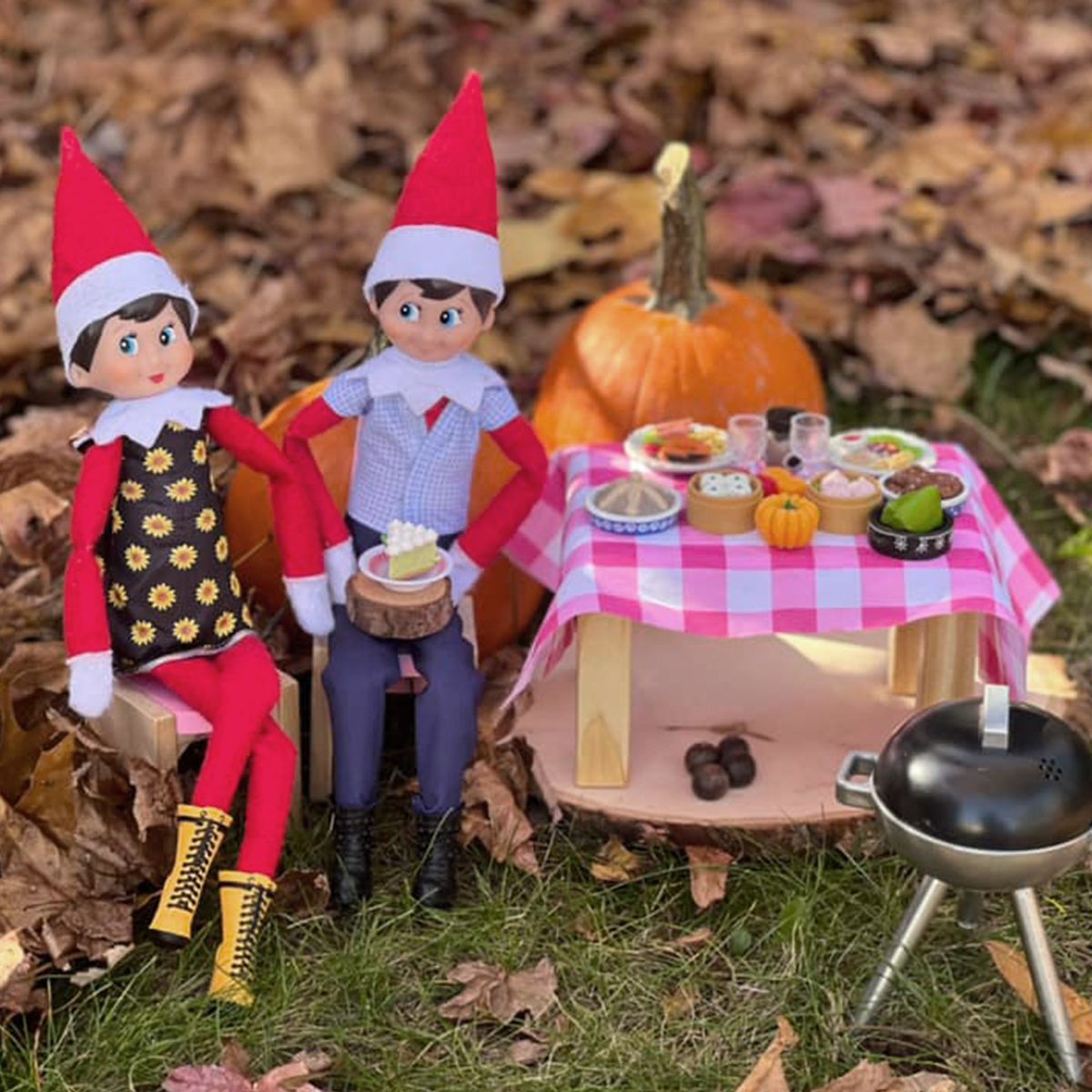 Two Scout Elves sitting by a picnic table full of food and grill
