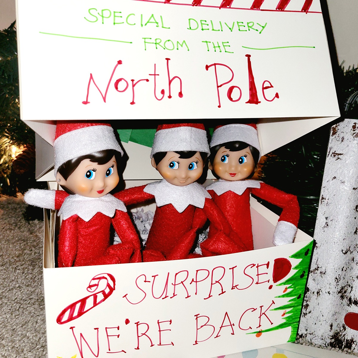 Special Delivery! | The Elf on the Shelf