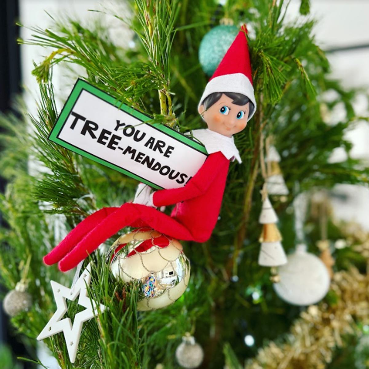 This Classroom Is Tree-mendous! | The Elf on the Shelf