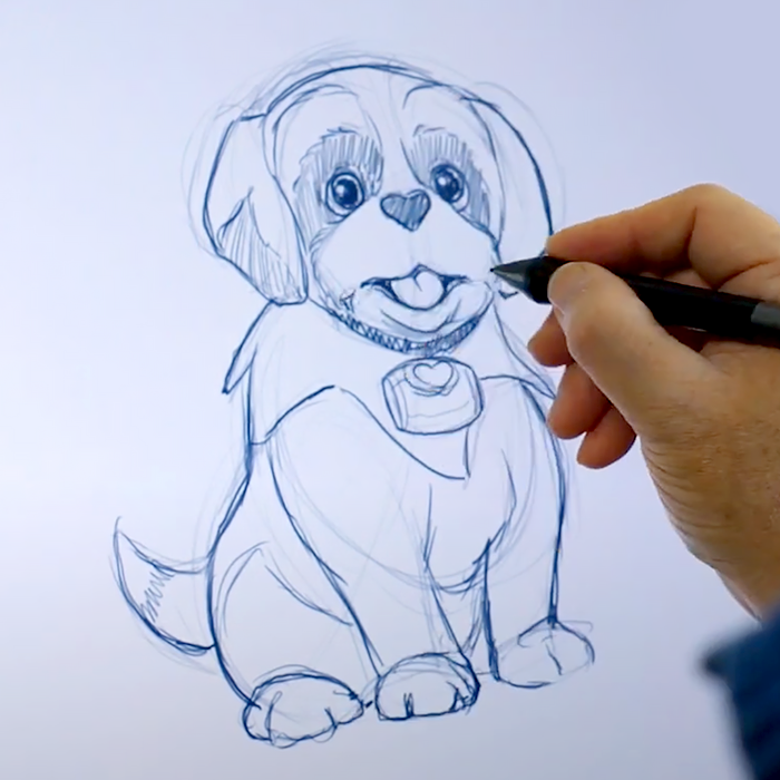 Cocoa with Joe Draw an Elf Pets Saint Bernard